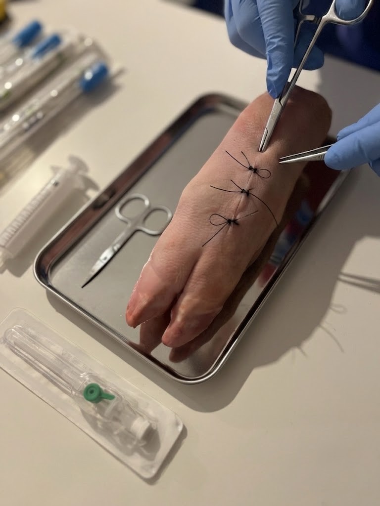 Preparat anatomiczny